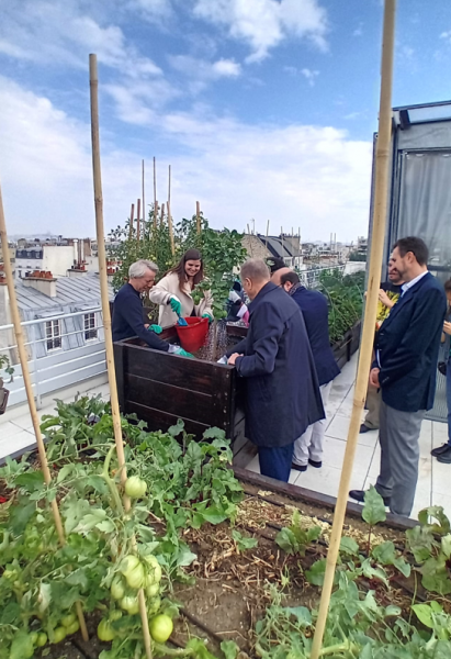 ©DEVE, Ferme urbaine expérimentale : Ferme Midori