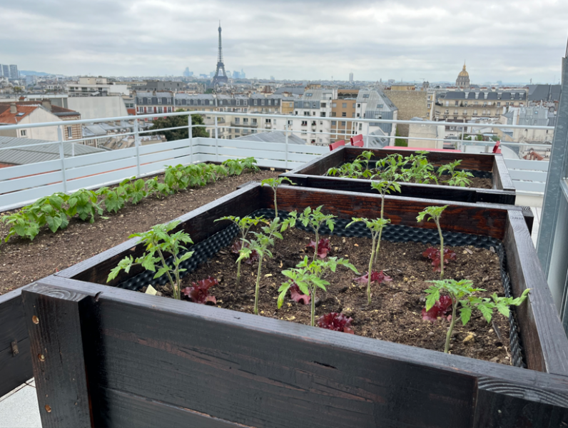 ©DEVE, Ferme urbaine expérimentale : Ferme Midori