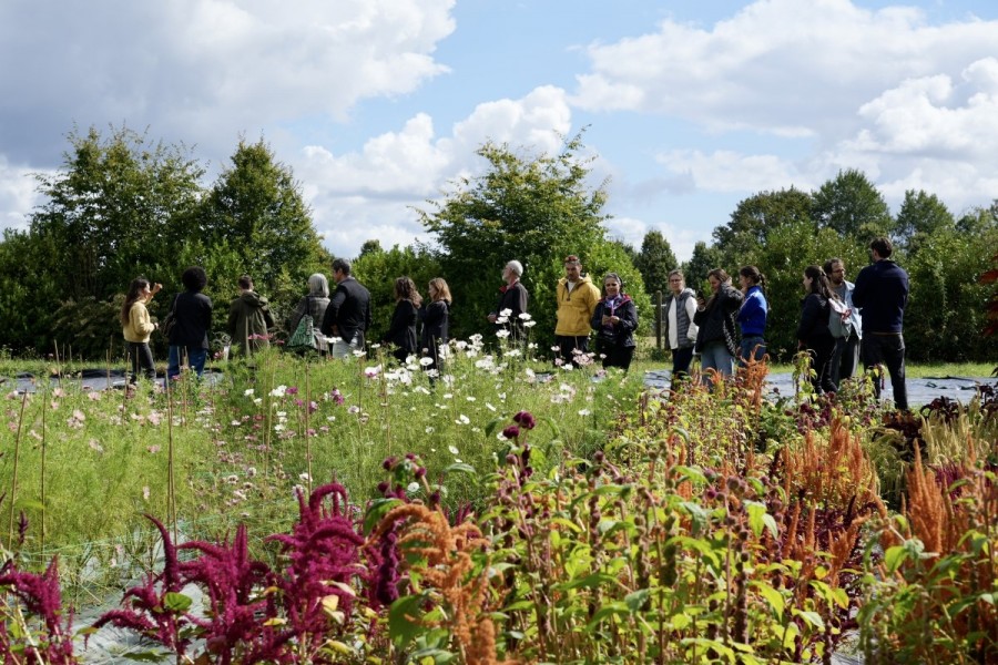 ©Hélène Combal-Weiss, Ferme-école florale : Fleurs de Sonchamp